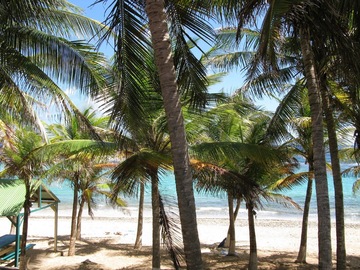 Stage yoga - Île de La Désirade en Guadeloupe